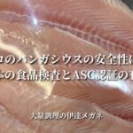 コストコのパンガシウスの安全性について。日本の食品検査とASC認証の有無